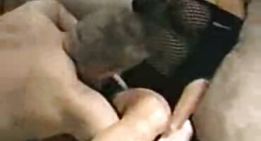 hentai sex thú Kimm kim kim được fucked bởi một người lạ và bị phim set gai dep ướt với kiêm.